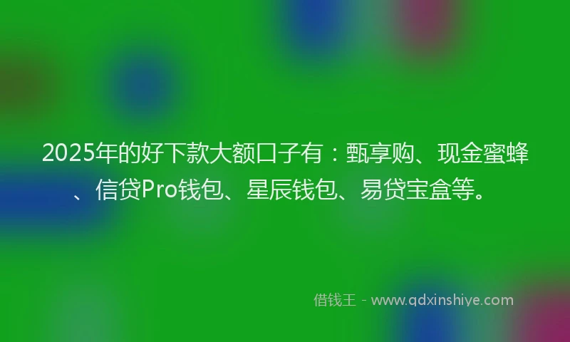 2025年的好下款大额口子有：甄享购、现金蜜蜂、信贷Pro钱包、星辰钱包、易贷宝盒等。