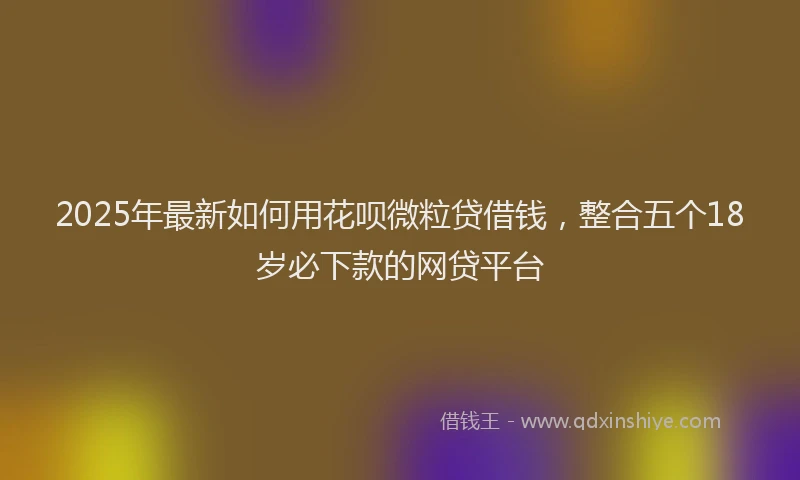 2025年最新如何用花呗微粒贷借钱，整合五个18岁必下款的网贷平台