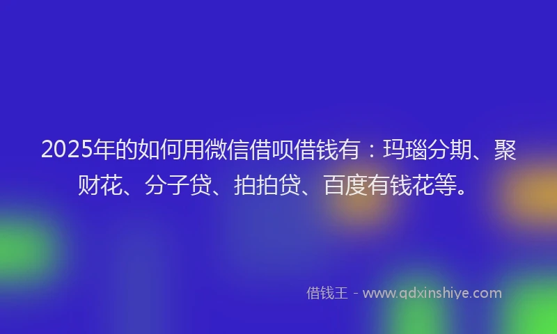 2025年的如何用微信借呗借钱有：玛瑙分期、聚财花、分子贷、拍拍贷、百度有钱花等。