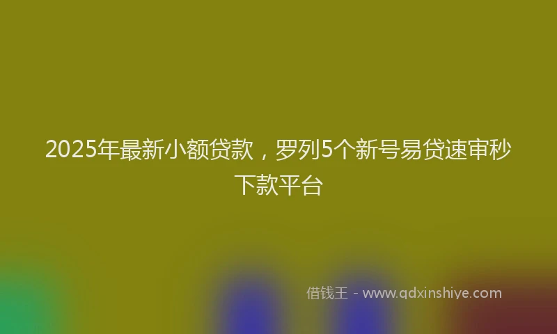 2025年最新小额贷款，罗列5个新号易贷速审秒下款平台