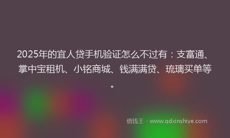 2025年的宜人贷手机验证怎么不过有：支富通、掌中宝租机、小铭商城、钱满满贷、琉璃买单等。