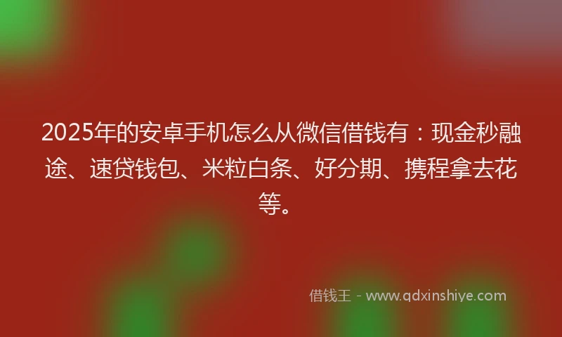 2025年的安卓手机怎么从微信借钱有：现金秒融途、速贷钱包、米粒白条、好分期、携程拿去花等。
