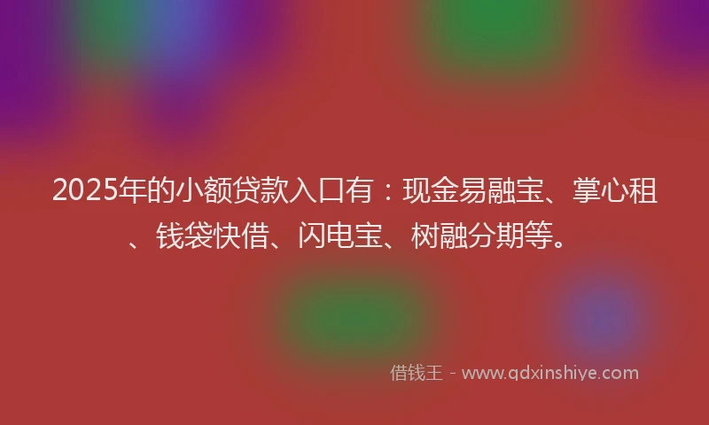 2025年的小额贷款入口有：现金易融宝、掌心租、钱袋快借、闪电宝、树融分期等。