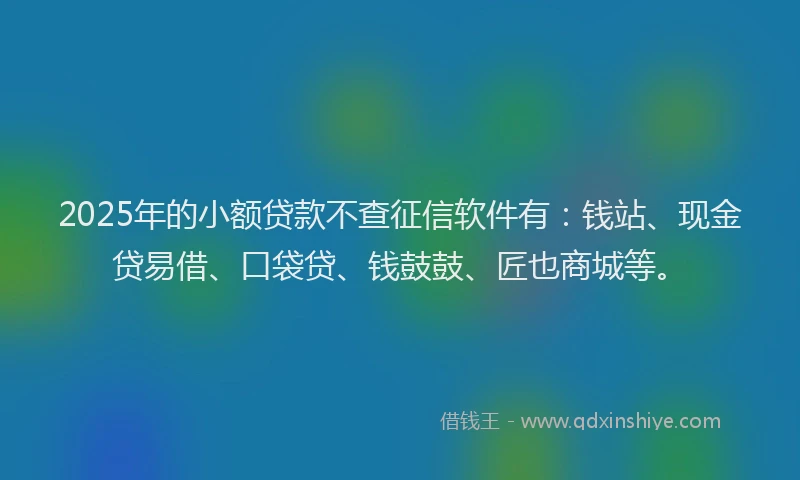 2025年的小额贷款不查征信软件有：钱站、现金贷易借、口袋贷、钱鼓鼓、匠也商城等。