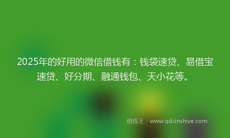 2025年的好用的微信借钱有：钱袋速贷、易借宝速贷、好分期、融通钱包、天小花等。