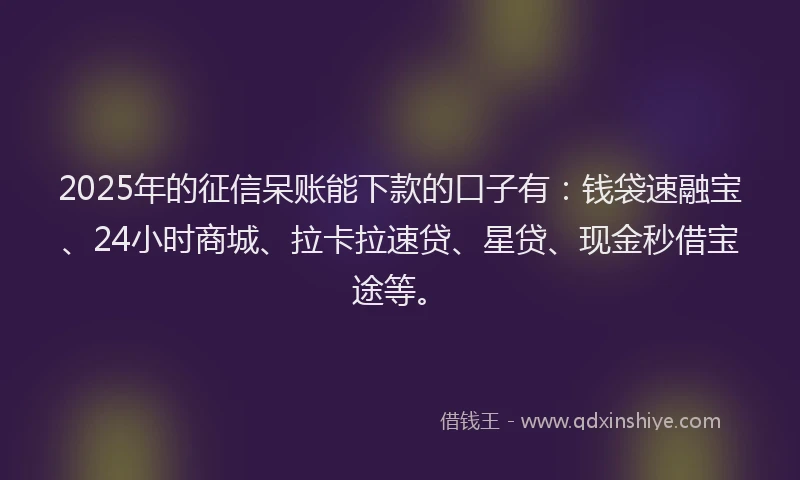 2025年的征信呆账能下款的口子有：钱袋速融宝、24小时商城、拉卡拉速贷、星贷、现金秒借宝途等。