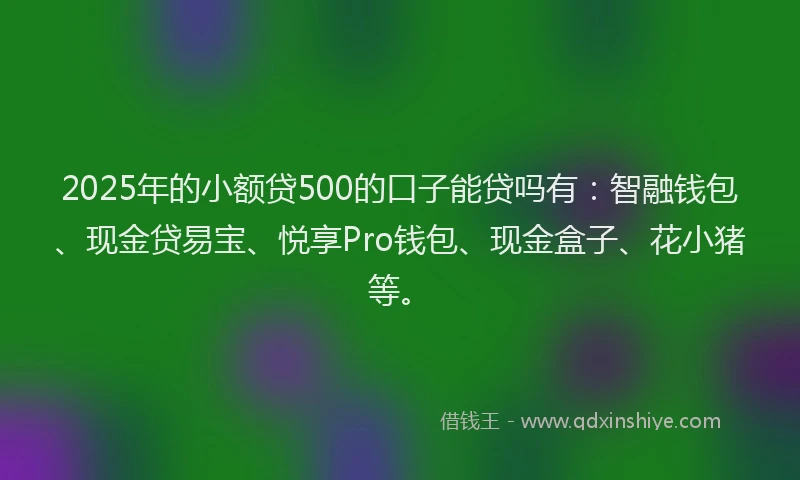 2025年的小额贷500的口子能贷吗有：智融钱包、现金贷易宝、悦享Pro钱包、现金盒子、花小猪等。