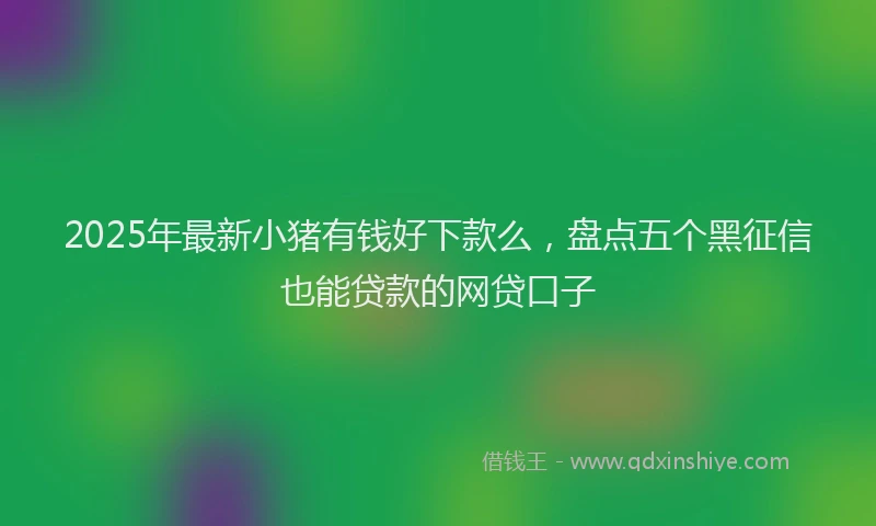 2025年最新小猪有钱好下款么，盘点五个黑征信也能贷款的网贷口子