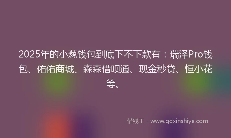2025年的小葱钱包到底下不下款有:瑞泽Pro钱包、佑佑商城、森森借呗通、现金秒贷、恒小花等。