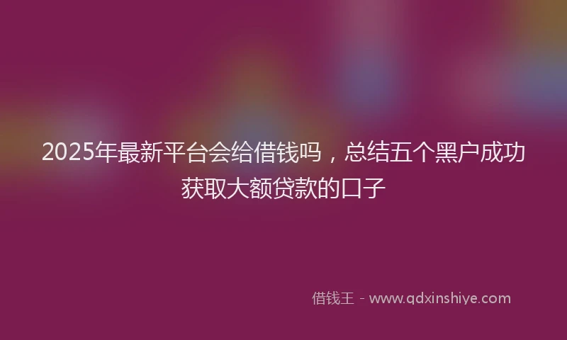 2025年最新平台会给借钱吗，总结五个黑户成功获取大额贷款的口子