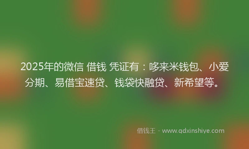 2025年的微信 借钱 凭证有：哆来米钱包、小爱分期、易借宝速贷、钱袋快融贷、新希望等。