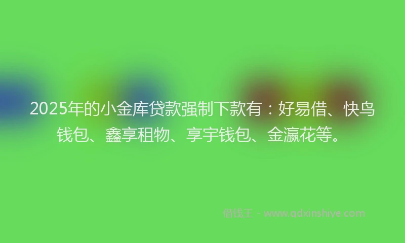 2025年的小金库贷款强制下款有：好易借、快鸟钱包、鑫享租物、享宇钱包、金瀛花等。