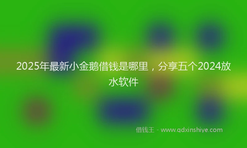 2025年最新小金鹅借钱是哪里，分享五个2024放水软件