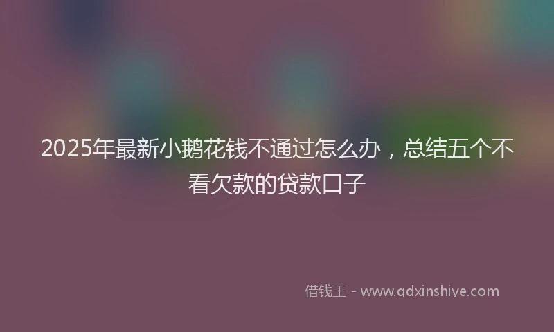 2025年最新小鹅花钱不通过怎么办，总结五个不看欠款的贷款口子