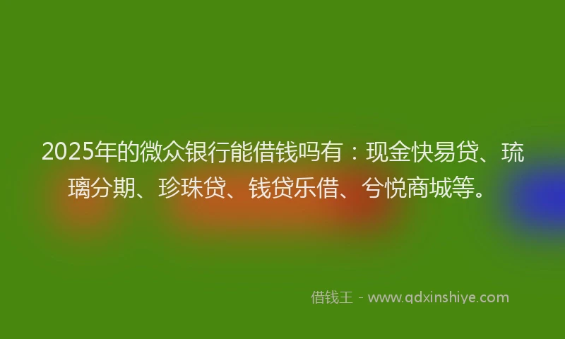 2025年的微众银行能借钱吗有：现金快易贷、琉璃分期、珍珠贷、钱贷乐借、兮悦商城等。