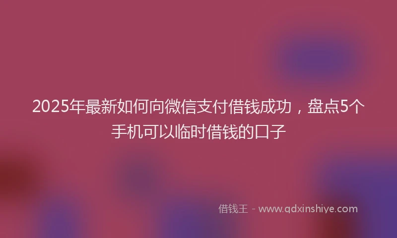 2025年最新如何向微信支付借钱成功，盘点5个手机可以临时借钱的口子
