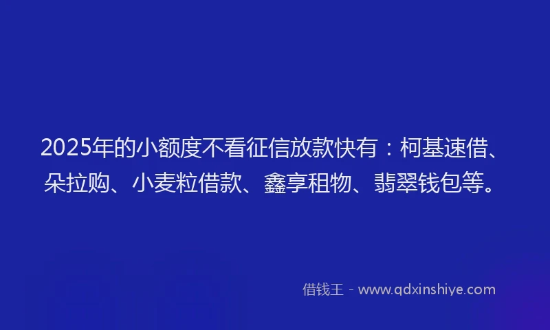 2025年的小额度不看征信放款快有：柯基速借、朵拉购、小麦粒借款、鑫享租物、翡翠钱包等。