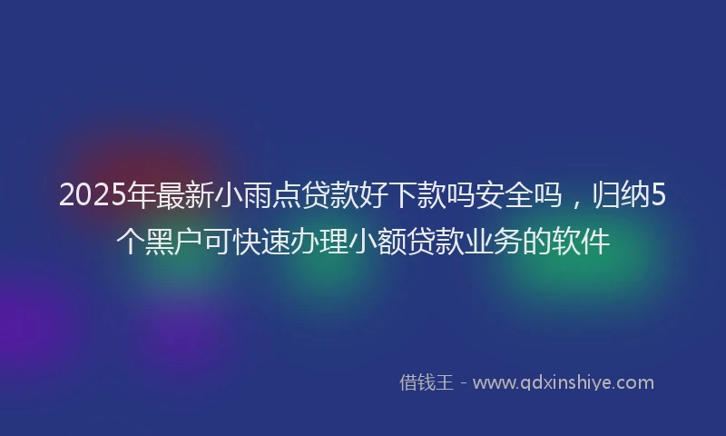 2025年最新小雨点贷款好下款吗安全吗，归纳5个黑户可快速办理小额贷款业务的软件