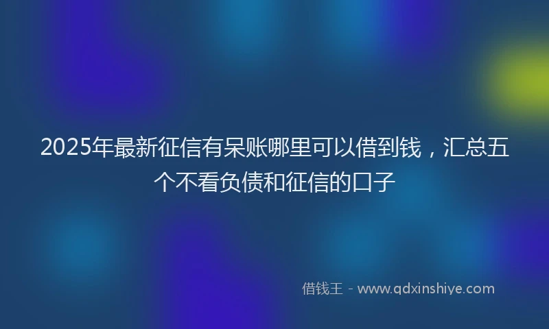 2025年最新征信有呆账哪里可以借到钱，汇总五个不看负债和征信的口子