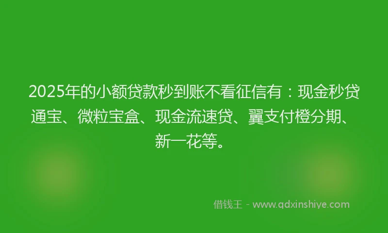 2025年的小额贷款秒到账不看征信有：现金秒贷通宝、微粒宝盒、现金流速贷、翼支付橙分期、新一花等。