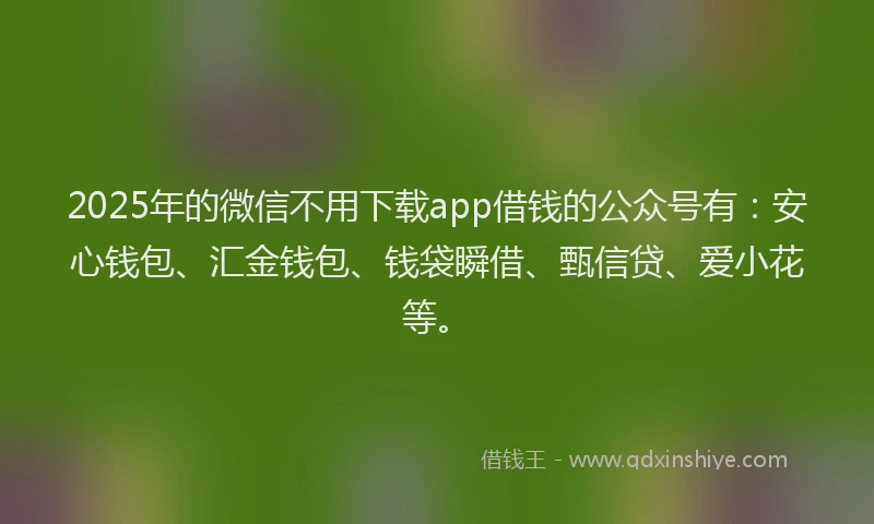 2025年的微信不用下载app借钱的公众号有：安心钱包、汇金钱包、钱袋瞬借、甄信贷、爱小花等。