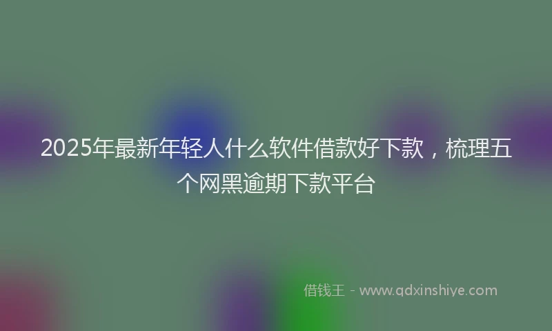 2025年最新年轻人什么软件借款好下款，梳理五个网黑逾期下款平台