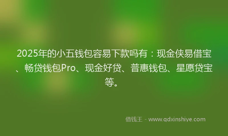2025年的小五钱包容易下款吗有：现金侠易借宝、畅贷钱包Pro、现金好贷、普惠钱包、星愿贷宝等。