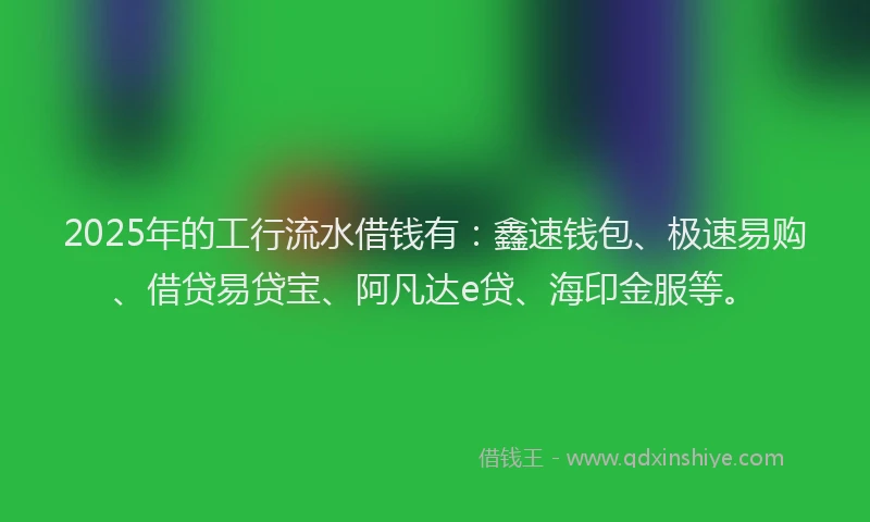 2025年的工行流水借钱有：鑫速钱包、极速易购、借贷易贷宝、阿凡达e贷、海印金服等。