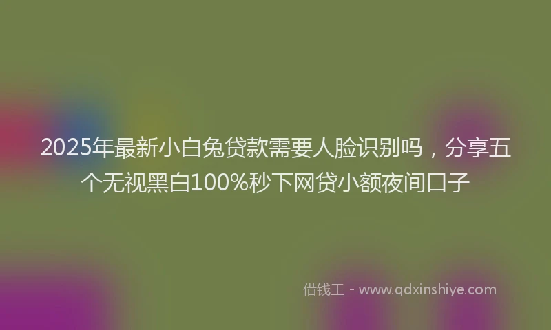 2025年最新小白兔贷款需要人脸识别吗，分享五个无视黑白100%秒下网贷小额夜间口子