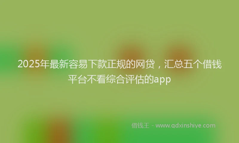 2025年最新容易下款正规的网贷，汇总五个借钱平台不看综合评估的app