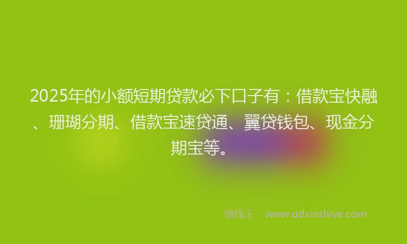 2025年的小额短期贷款必下口子有：借款宝快融、珊瑚分期、借款宝速贷通、翼贷钱包、现金分期宝等。