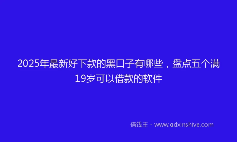 2025年最新好下款的黑口子有哪些，盘点五个满19岁可以借款的软件