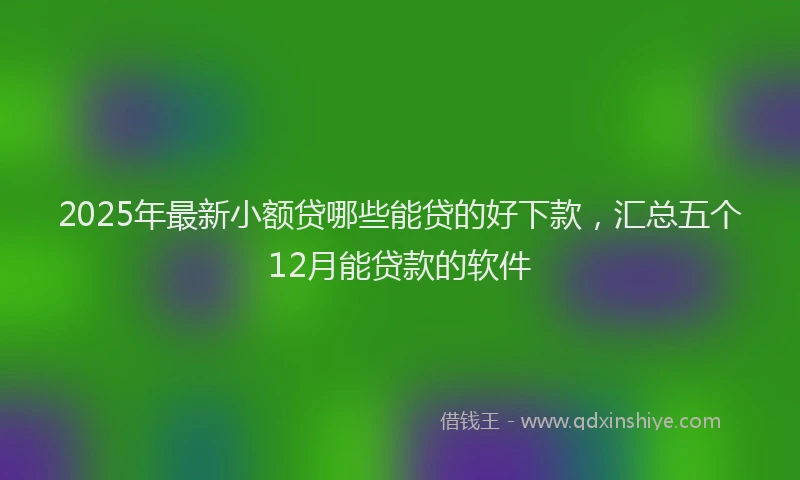2025年最新小额贷哪些能贷的好下款，汇总五个12月能贷款的软件