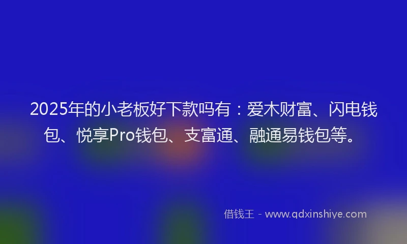 2025年的小老板好下款吗有：爱木财富、闪电钱包、悦享Pro钱包、支富通、融通易钱包等。