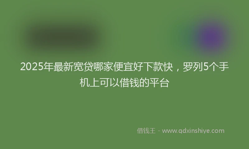 2025年最新宽贷哪家便宜好下款快，罗列5个手机上可以借钱的平台