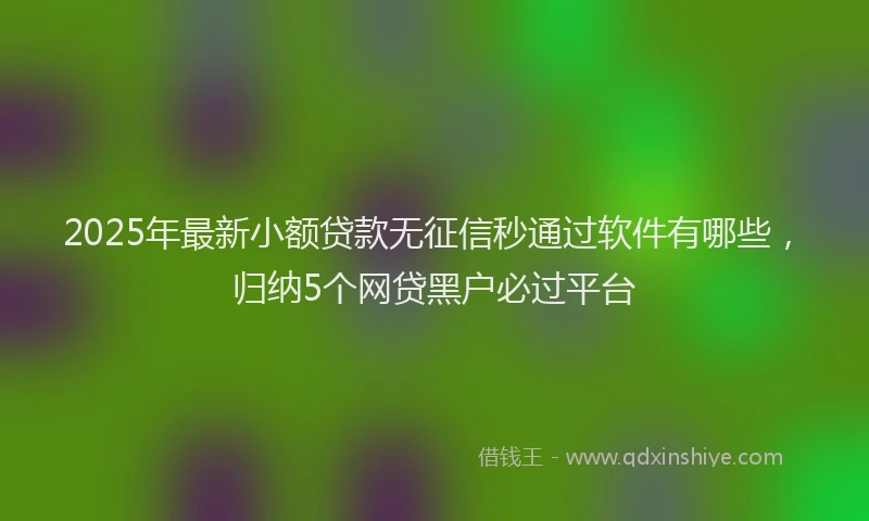 2025年最新小额贷款无征信秒通过软件有哪些，归纳5个网贷黑户必过平台