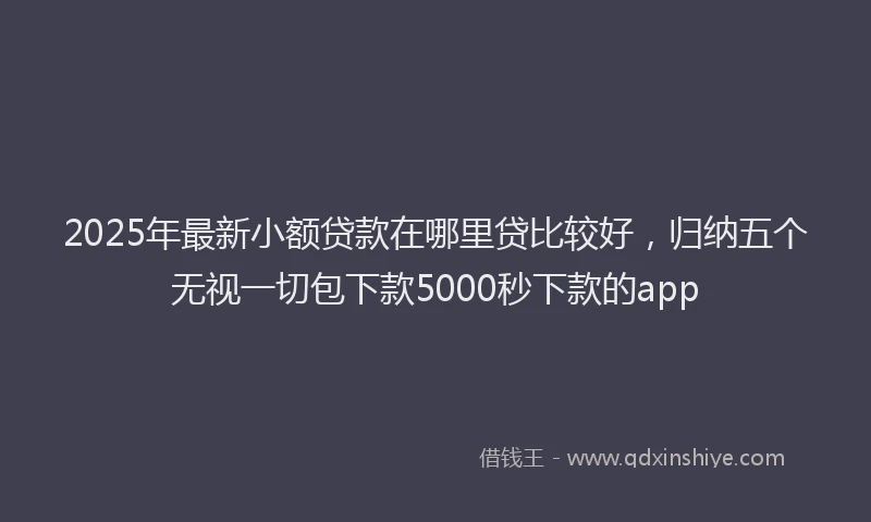 2025年最新小额贷款在哪里贷比较好，归纳五个无视一切包下款5000秒下款的app