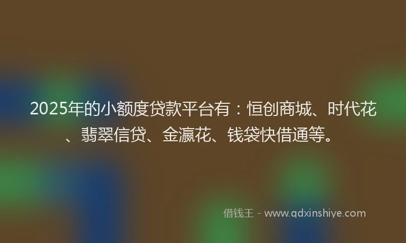 2025年的小额度贷款平台有：恒创商城、时代花、翡翠信贷、金瀛花、钱袋快借通等。