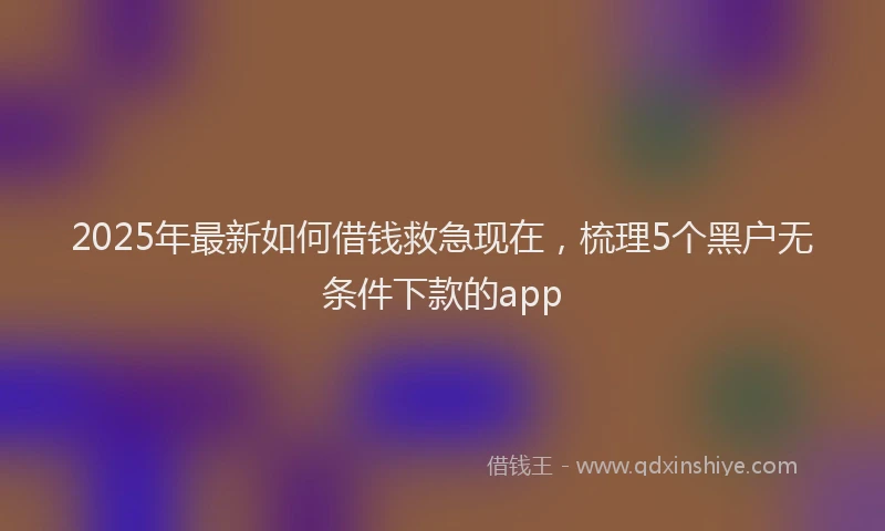 2025年最新如何借钱救急现在，梳理5个黑户无条件下款的app
