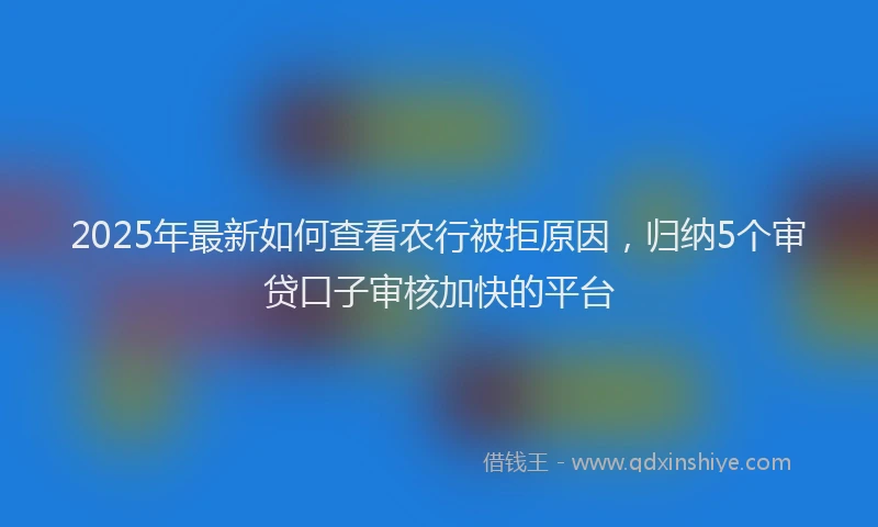 2025年最新如何查看农行被拒原因，归纳5个审贷口子审核加快的平台