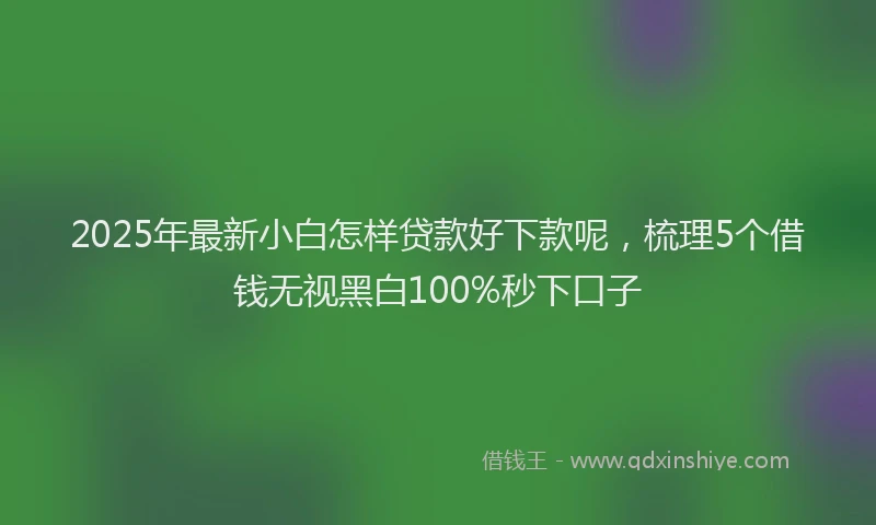 2025年最新小白怎样贷款好下款呢，梳理5个借钱无视黑白100%秒下口子