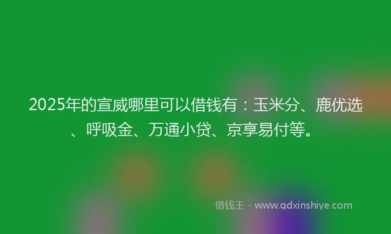 2025年的宣威哪里可以借钱有：玉米分、鹿优选、呼吸金、万通小贷、京享易付等。