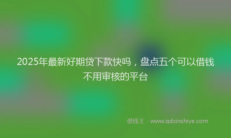 2025年最新好期贷下款快吗，盘点五个可以借钱不用审核的平台