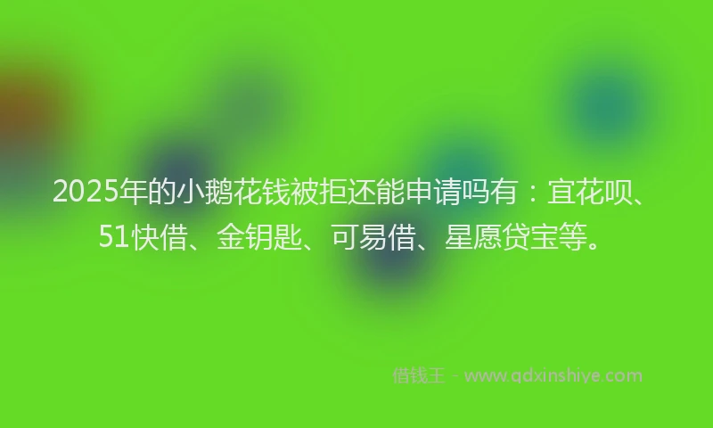 2025年的小鹅花钱被拒还能申请吗有：宜花呗、51快借、金钥匙、可易借、星愿贷宝等。