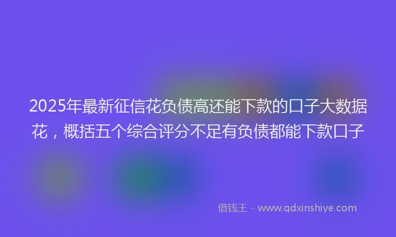 2025年最新征信花负债高还能下款的口子大数据花，概括五个综合评分不足有负债都能下款口子