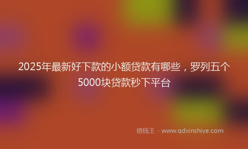 2025年最新好下款的小额贷款有哪些，罗列五个5000块贷款秒下平台