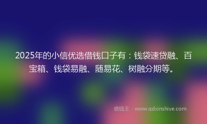 2025年的小信优选借钱口子有：钱袋速贷融、百宝箱、钱袋易融、随易花、树融分期等。