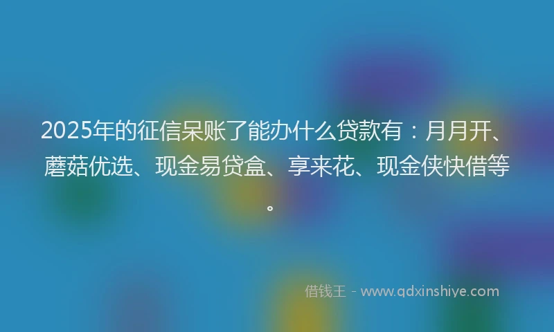 2025年的征信呆账了能办什么贷款有：月月开、蘑菇优选、现金易贷盒、享来花、现金侠快借等。