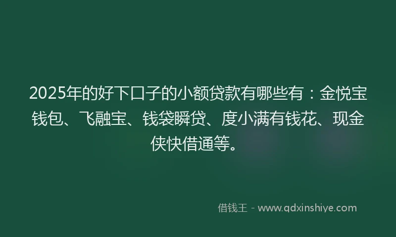2025年的好下口子的小额贷款有哪些有：金悦宝钱包、飞融宝、钱袋瞬贷、度小满有钱花、现金侠快借通等。