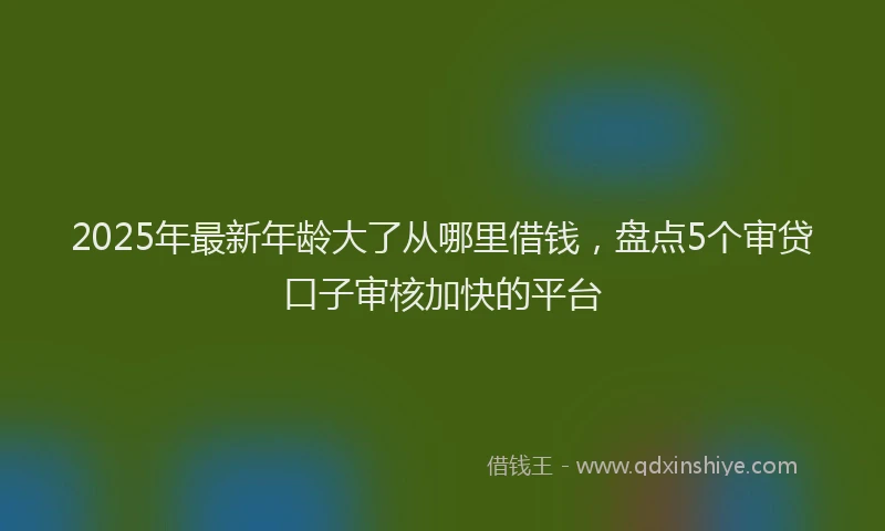 2025年最新年龄大了从哪里借钱，盘点5个审贷口子审核加快的平台